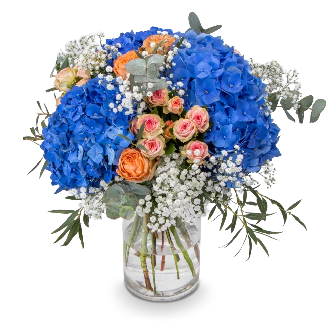 Bouquet of hydrangeas